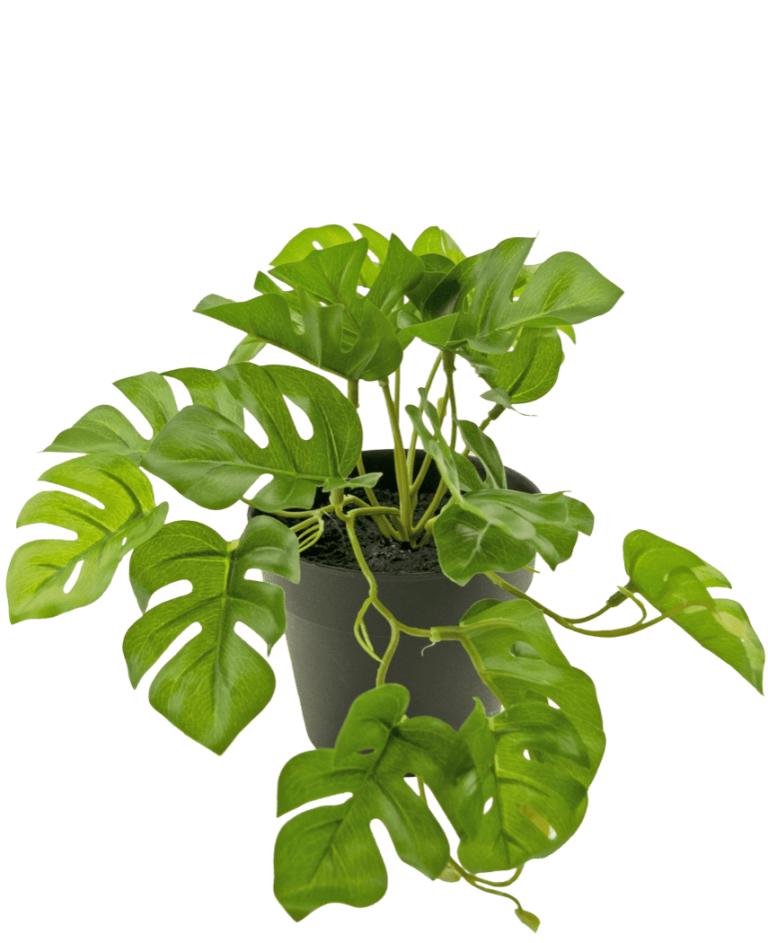 Plante artificielle Monstera 18 cm