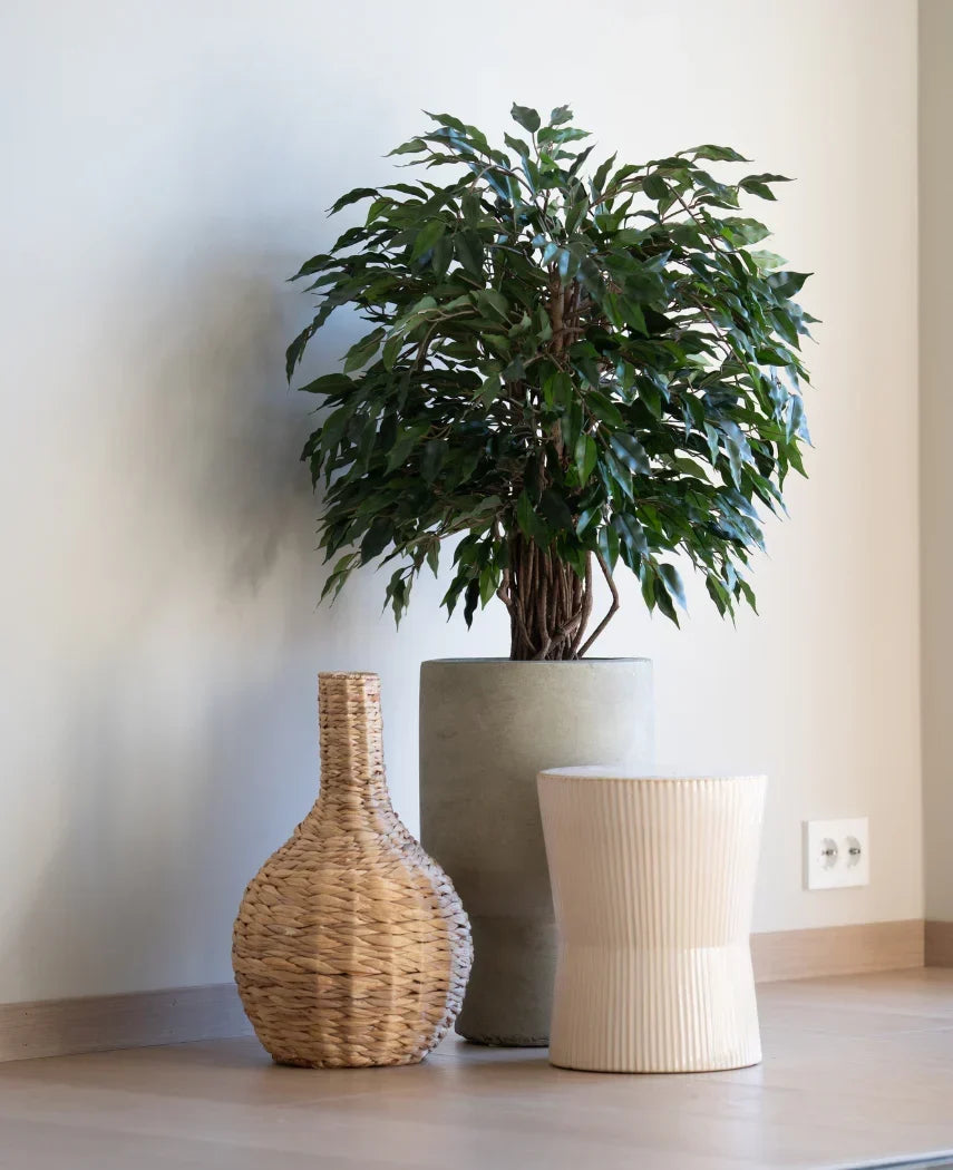 Plante artificielle Ficus Liana 90 cm