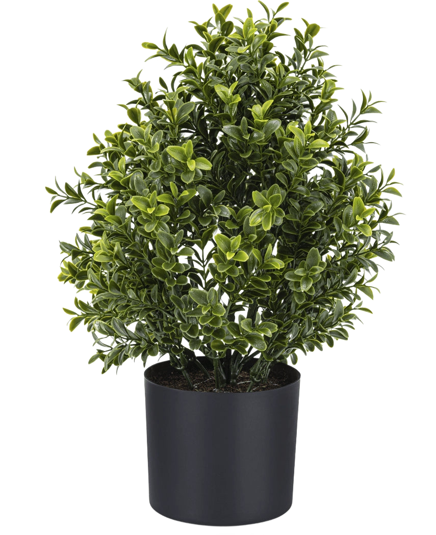 Buis artificiel UV style romain 36 cm