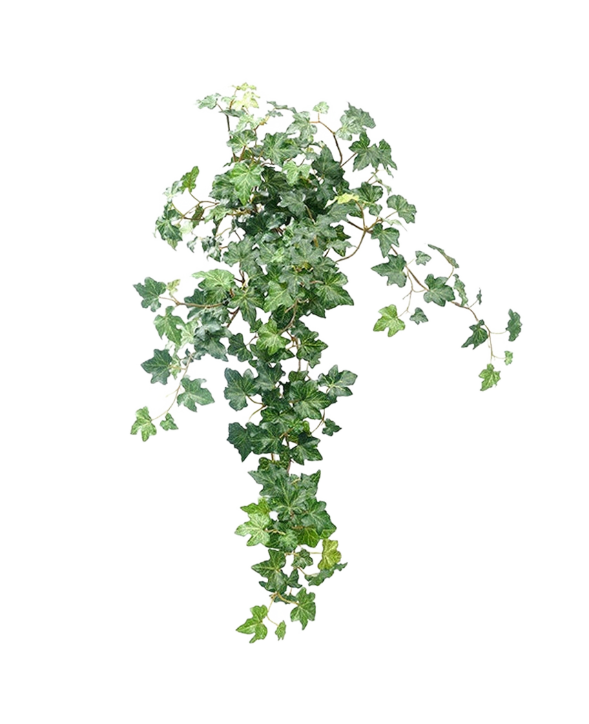 Lierre artificiel Deluxe Vert 60 cm