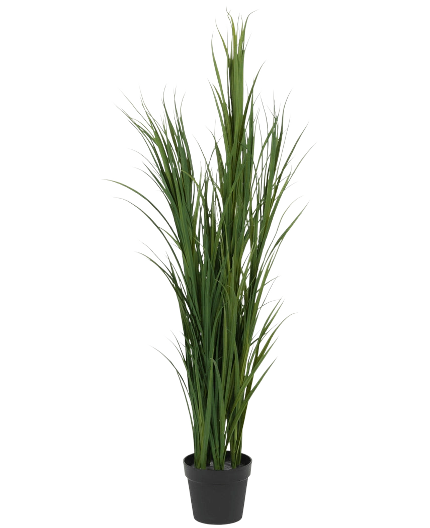 Gazon artificiel Vert UV 150 cm