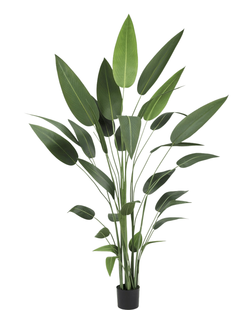 Plante artificielle Heliconia 210 cm