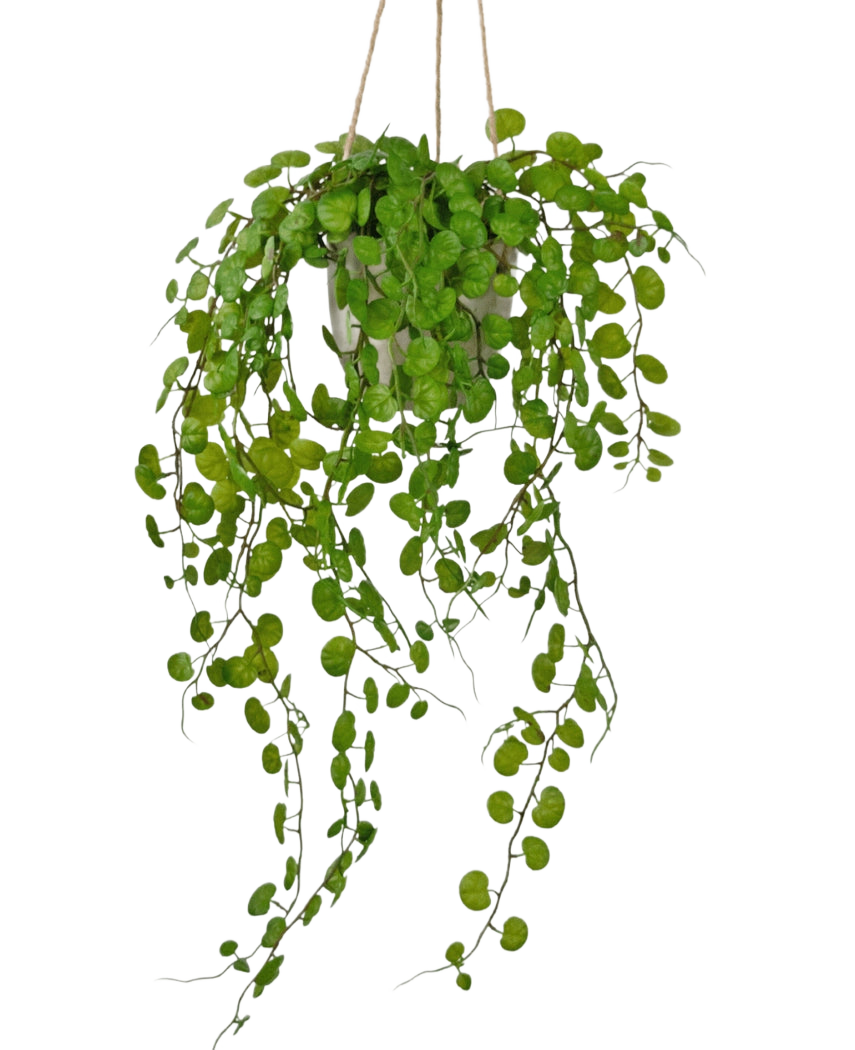 Succulente artificielle tombante dans un pot en ciment 43 cm
