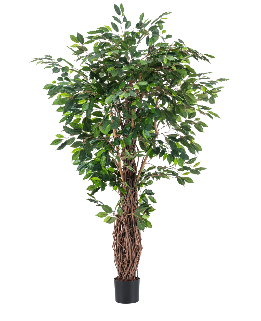 Plante artificielle Ficus Tropical Liana 180 cm