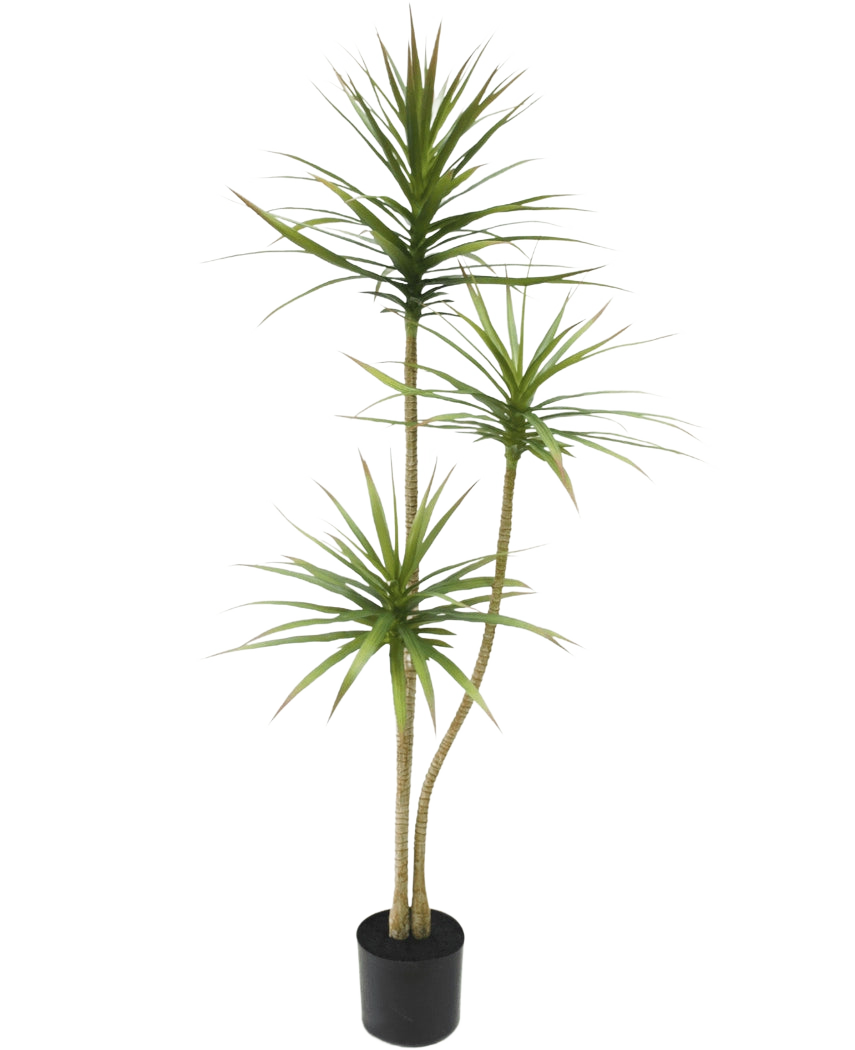 Plante artificielle Dracaena Fragnans 150 cm