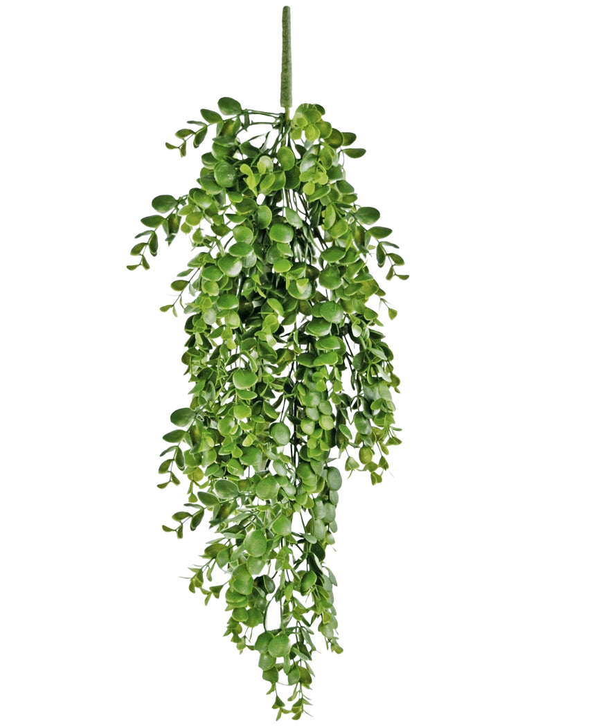 Plante artificielle tombante Pancake 61 cm