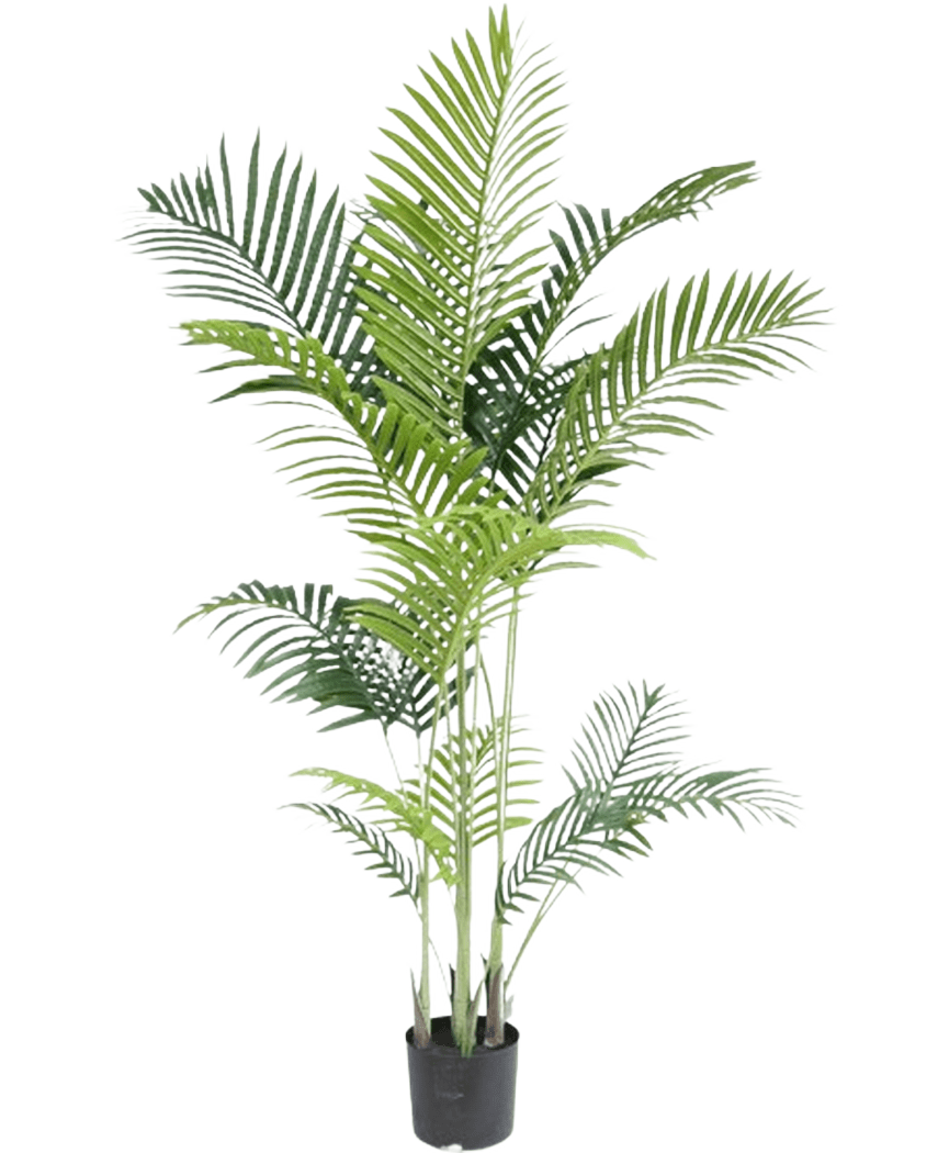 Plante artificielle Phoenix 170 cm