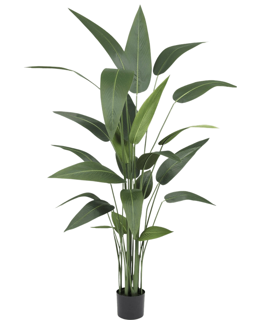 Plante artificielle Heliconia 160 cm