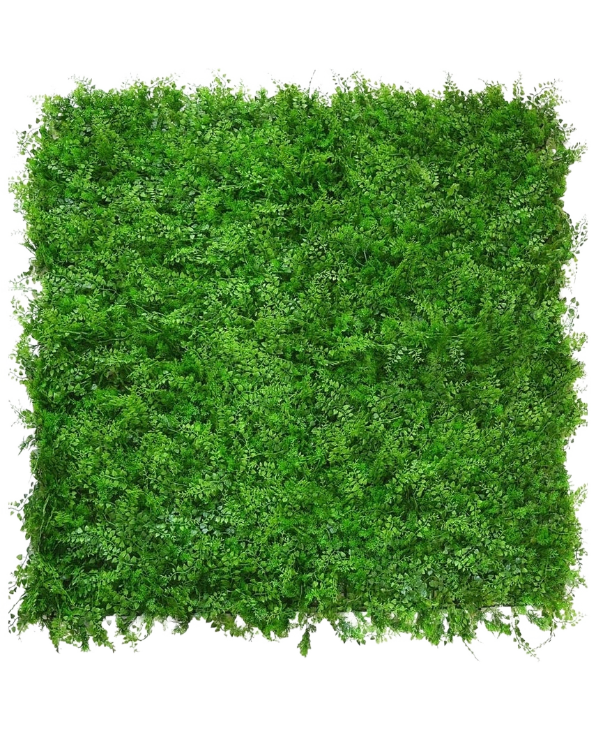 Mur végétal artificiel Buis cyprès 50x50 cm UV