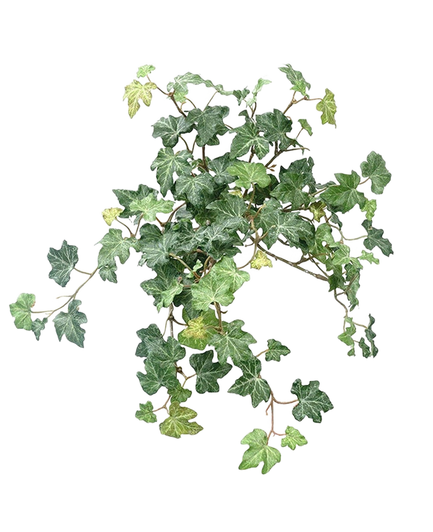 Lierre artificiel Deluxe Vert 40 cm
